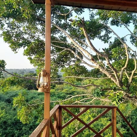 Leopard Nest - Glamping In Yala Exterior foto