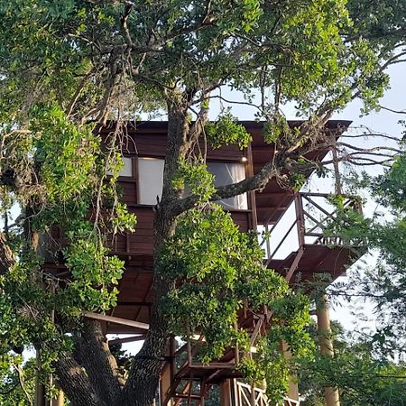Leopard Nest - Glamping In Yala Exterior foto