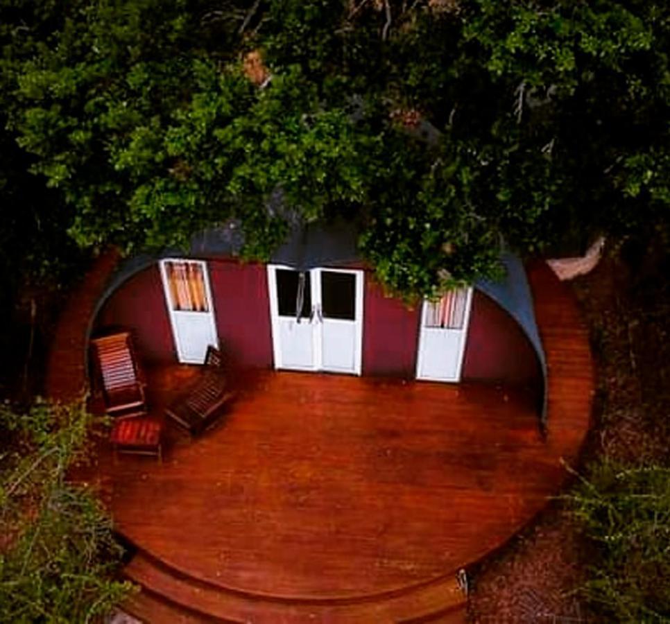 Leopard Nest - Glamping In Yala Exterior foto