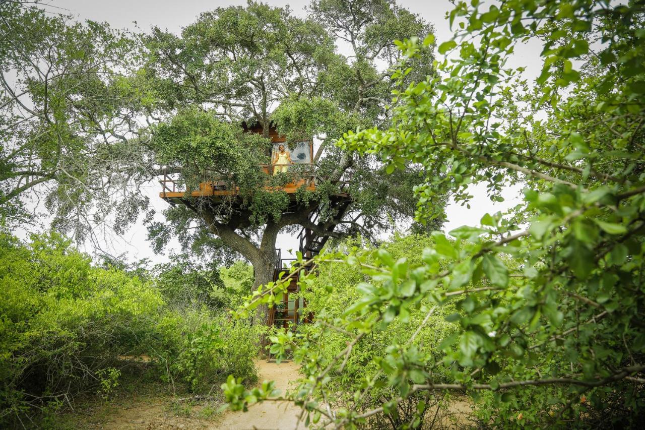 Leopard Nest - Glamping In Yala Exterior foto