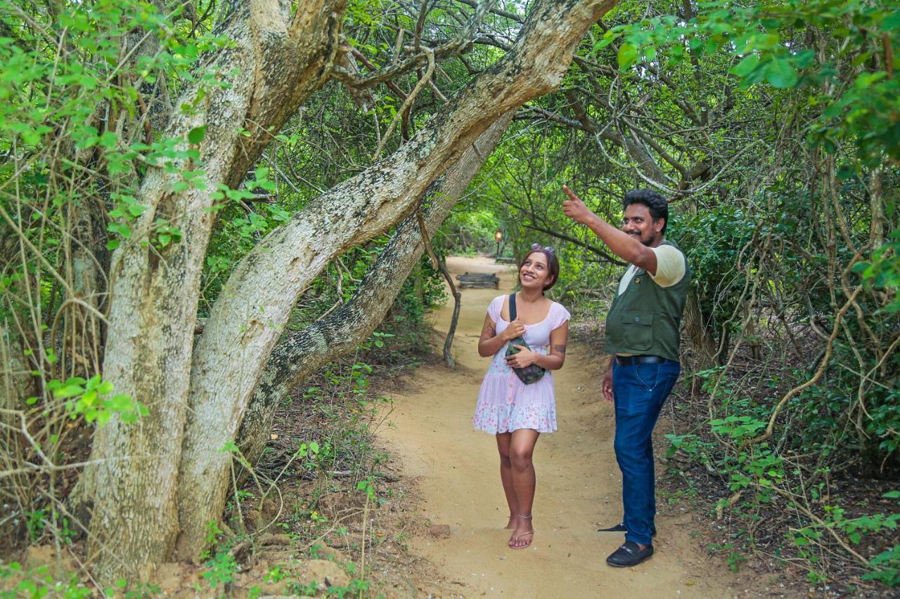 Leopard Nest - Glamping In Yala Exterior foto