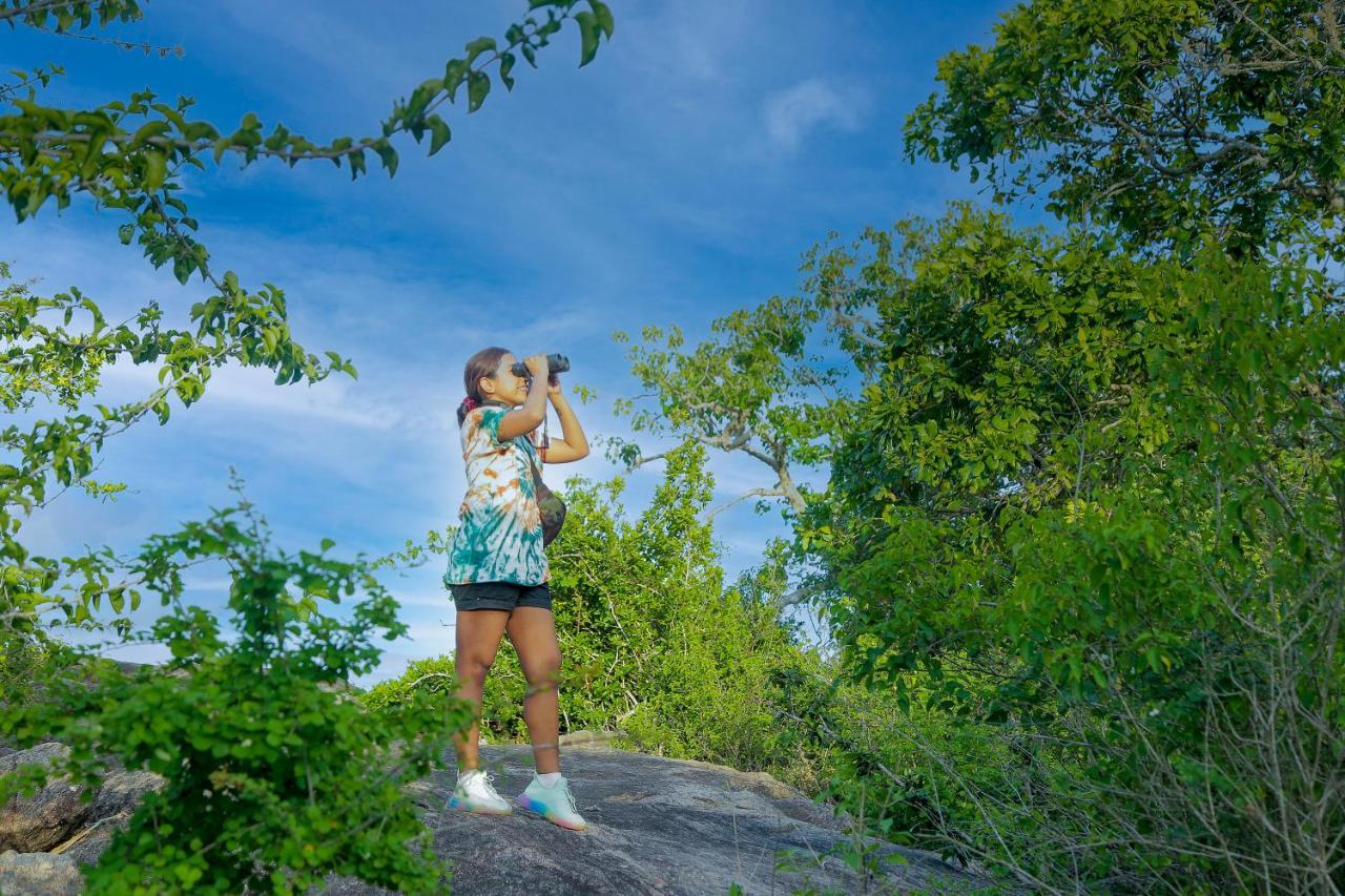Leopard Nest - Glamping In Yala Exterior foto