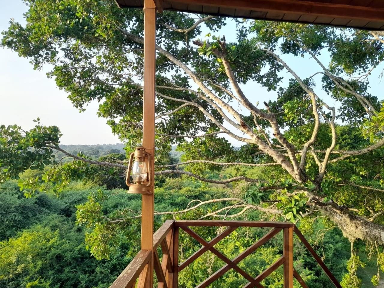 Leopard Nest - Glamping In Yala Exterior foto