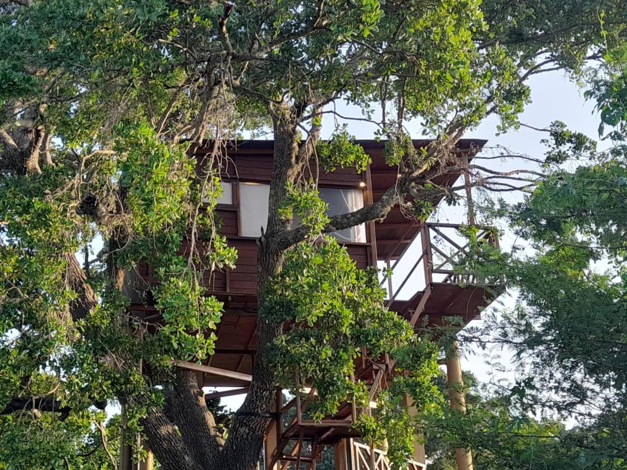 Leopard Nest - Glamping In Yala Exterior foto