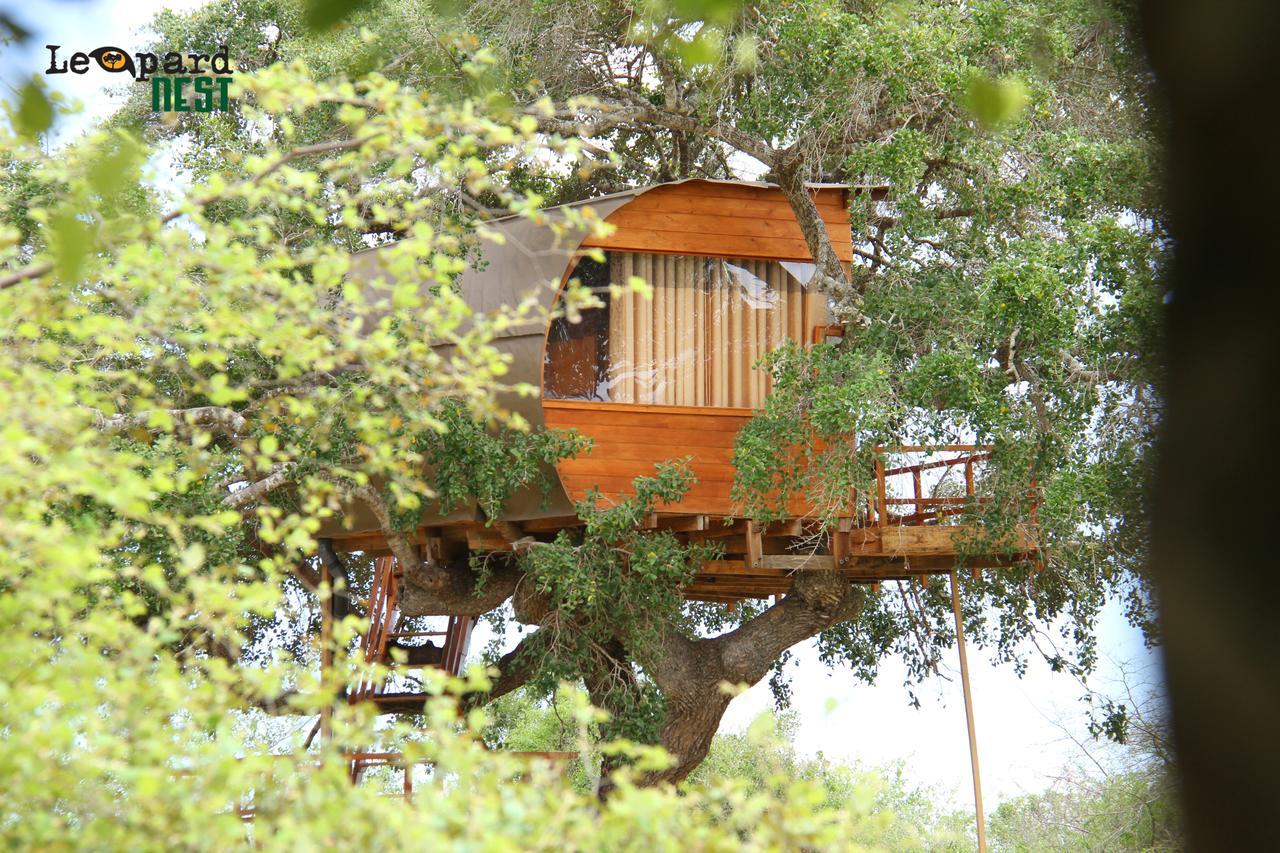 Leopard Nest - Glamping In Yala Exterior foto