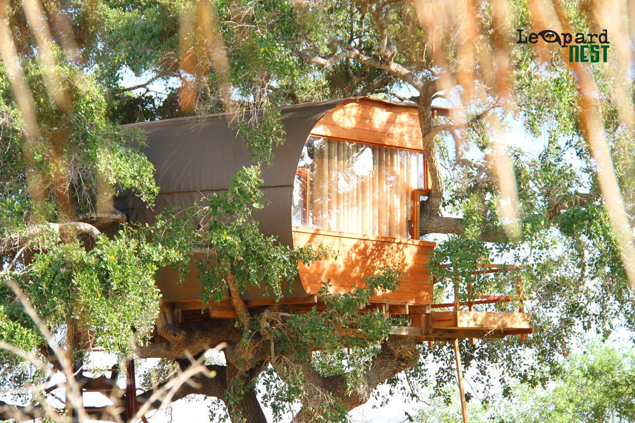 Leopard Nest - Glamping In Yala Exterior foto