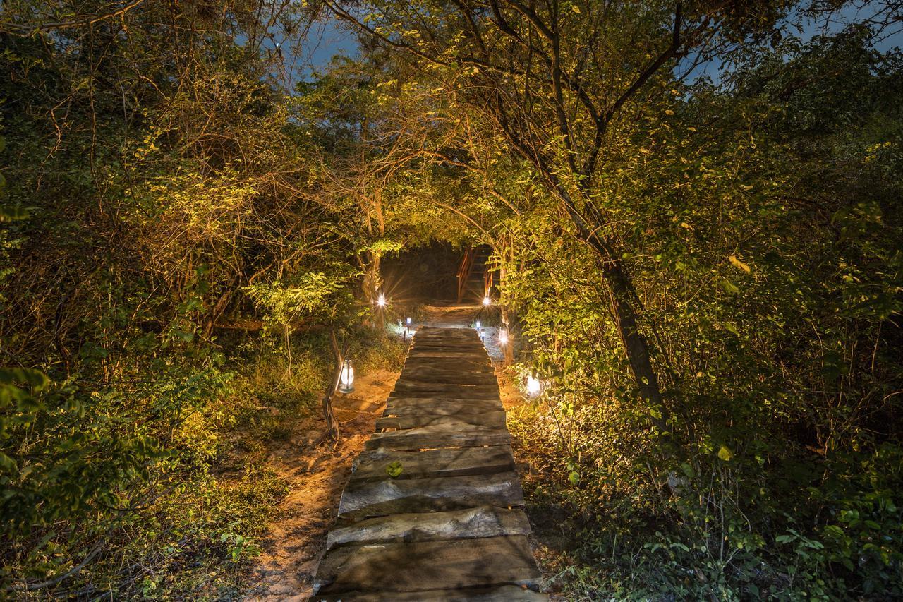 Leopard Nest - Glamping In Yala Exterior foto