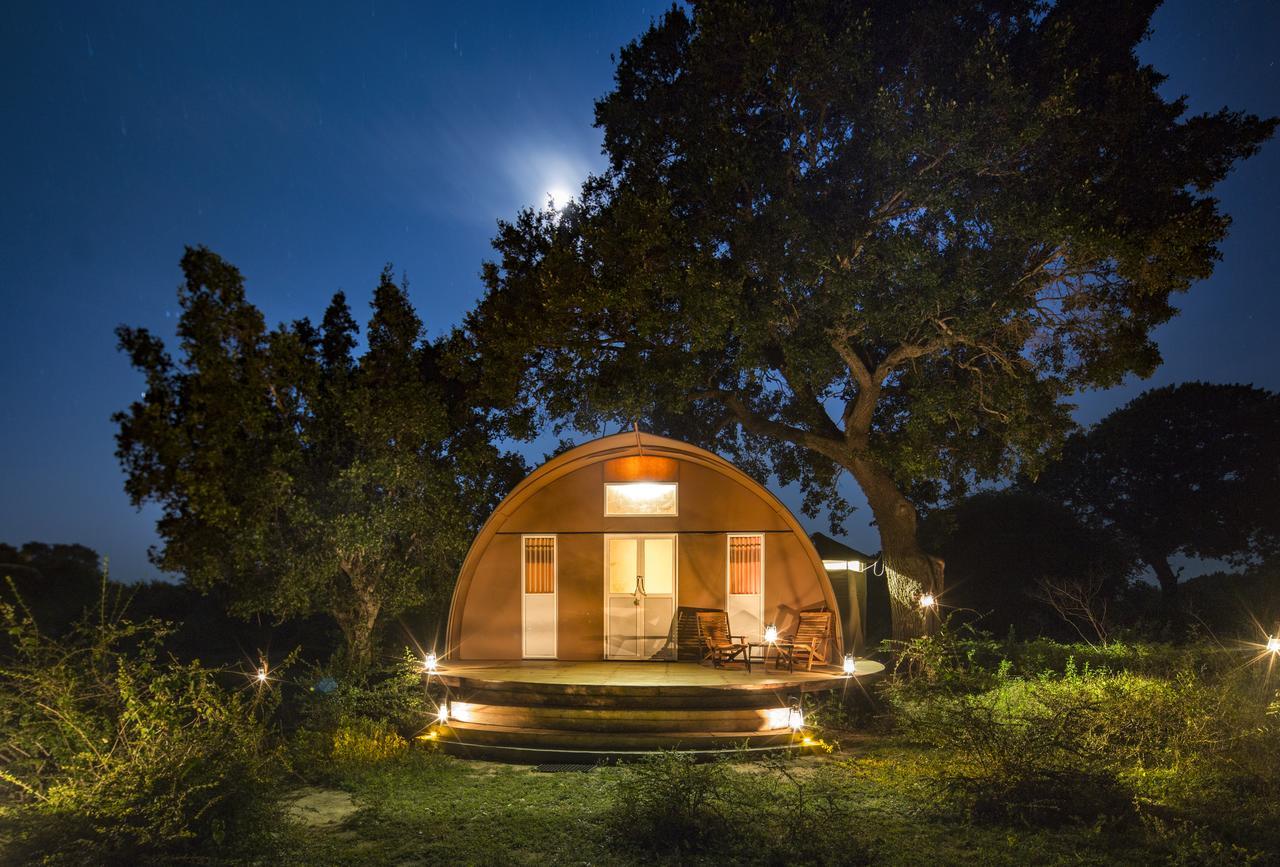 Leopard Nest - Glamping In Yala Exterior foto