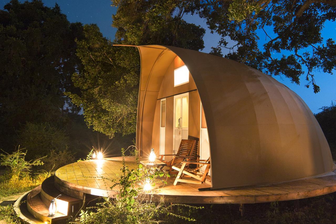 Leopard Nest - Glamping In Yala Exterior foto