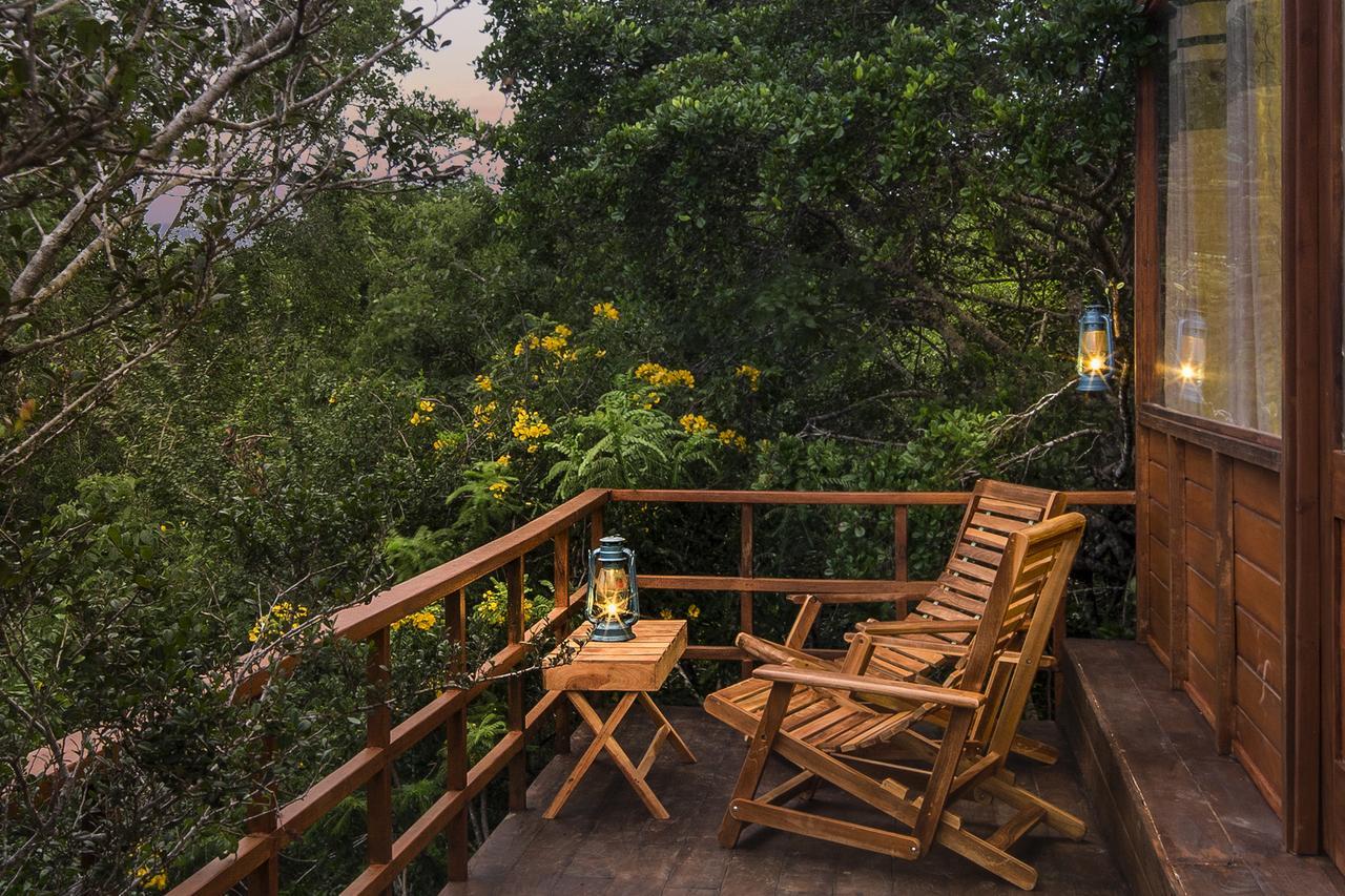 Leopard Nest - Glamping In Yala Exterior foto