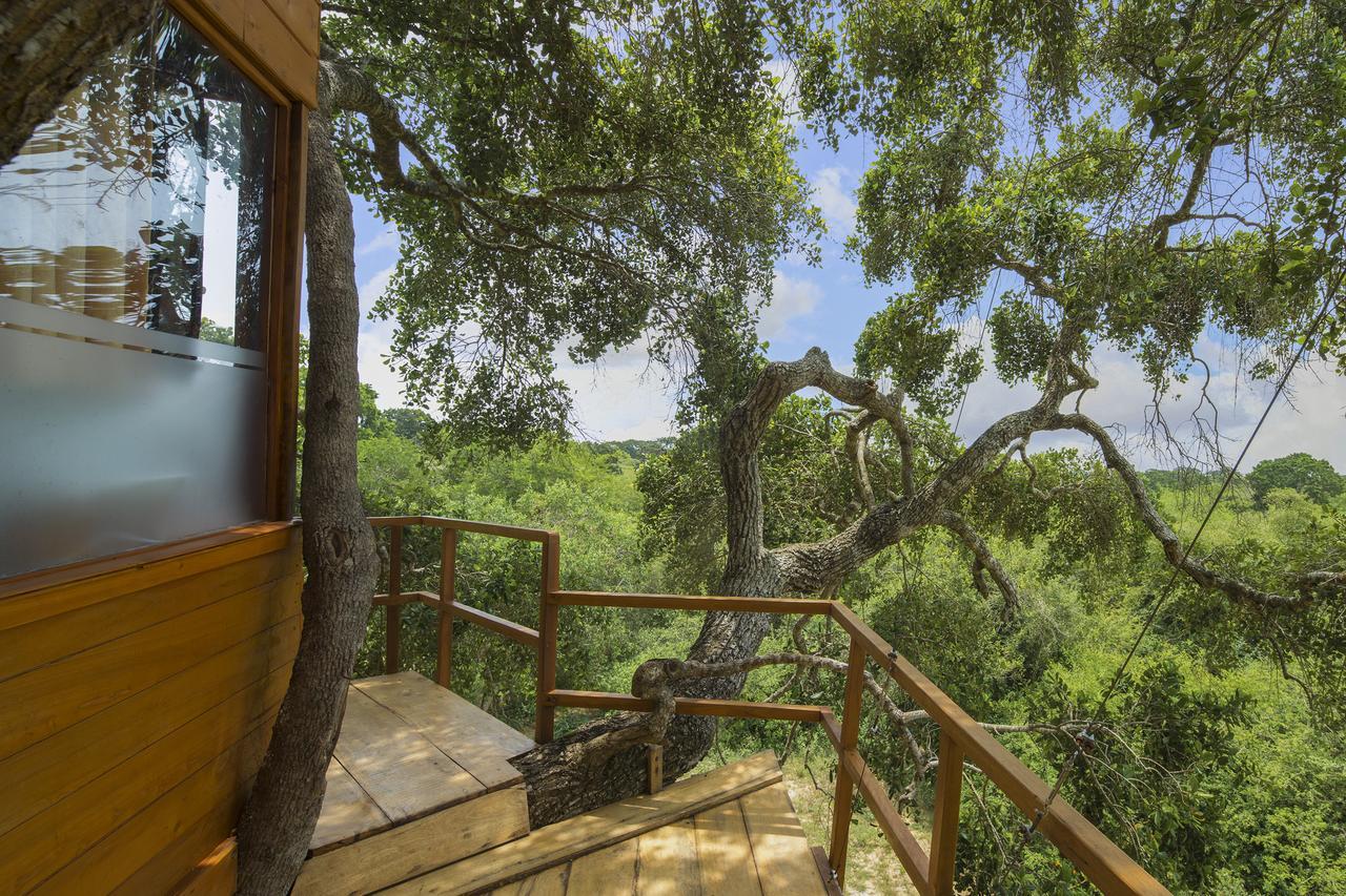 Leopard Nest - Glamping In Yala Exterior foto