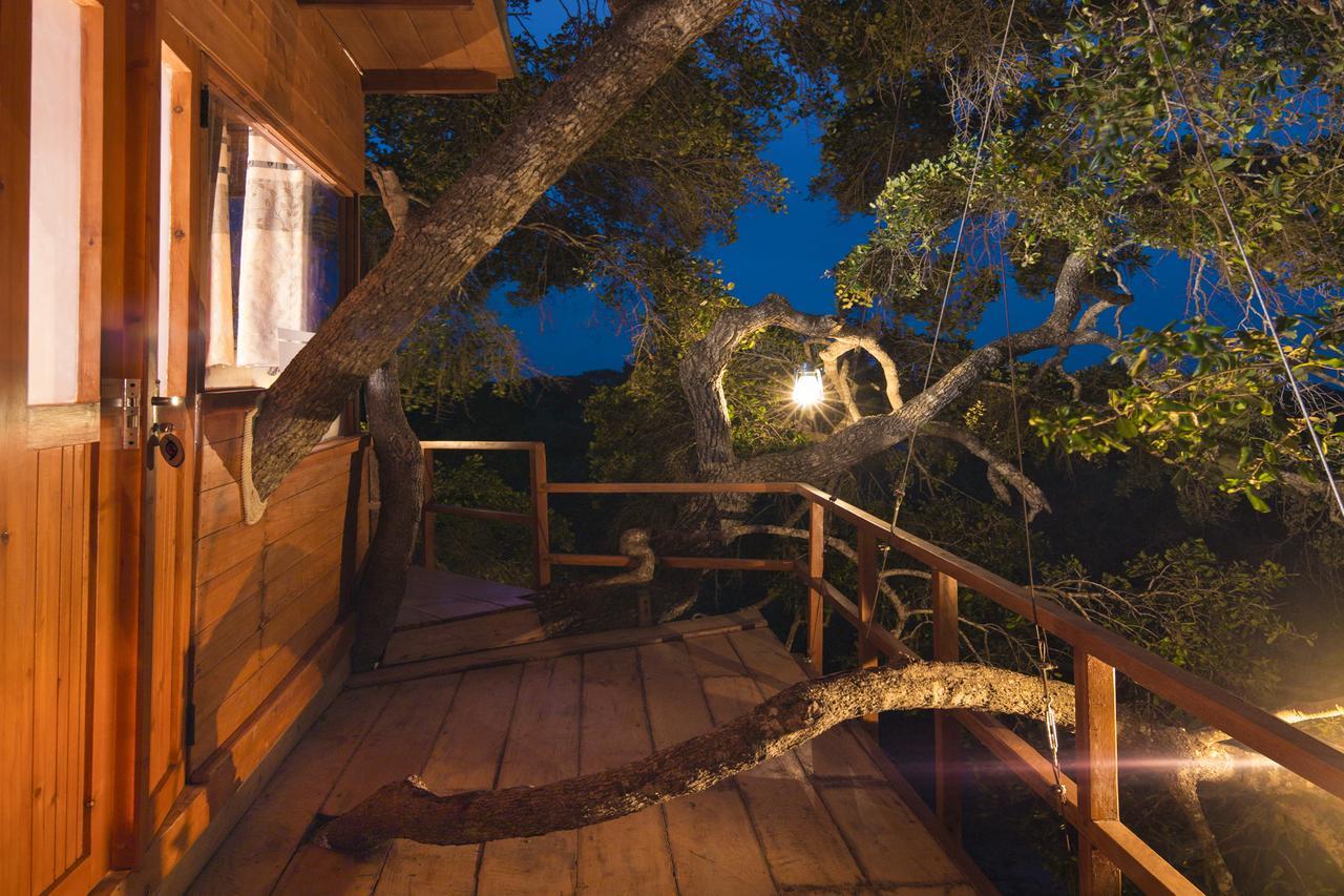 Leopard Nest - Glamping In Yala Exterior foto